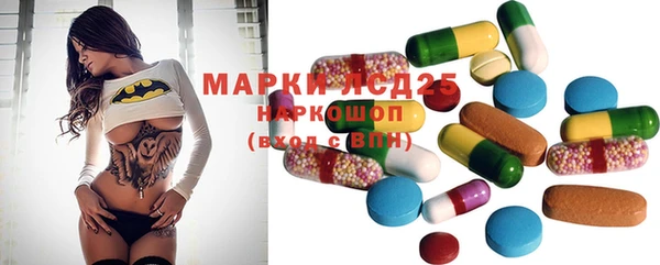 хмурый Гусев