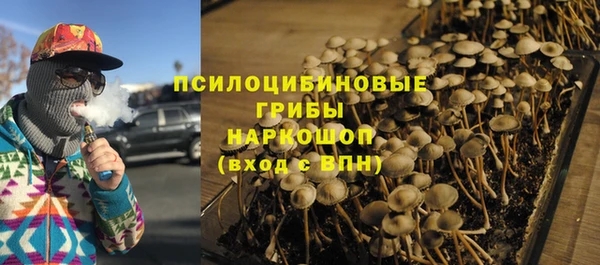 хмурый Гусев