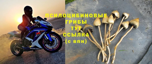 экстази Гусиноозёрск