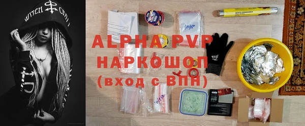 хмурый Гусев