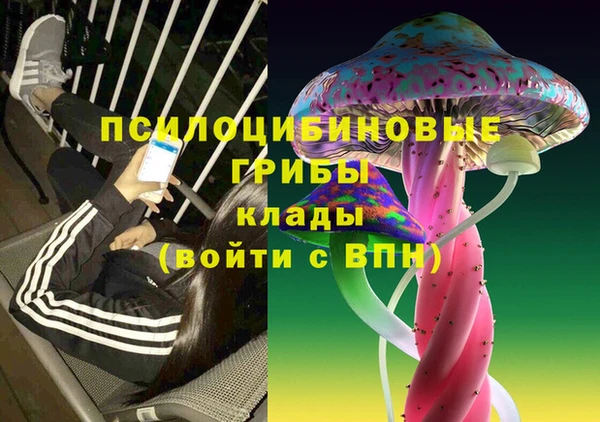 хмурый Гусев