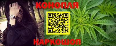 сатива Гагарин