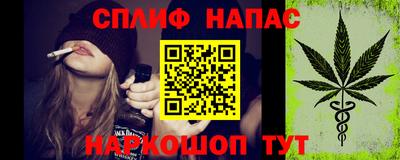 бошки Гай