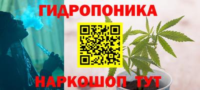 сатива Гагарин