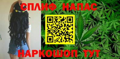 гашик Гатчина
