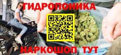 гашик Гатчина