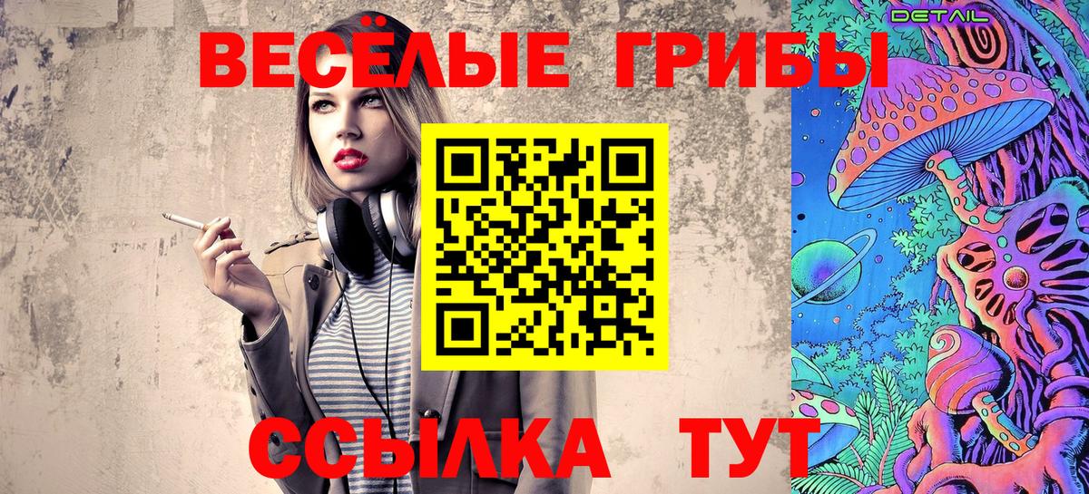 Псилоцибиновые грибы Psilocybe Назарово