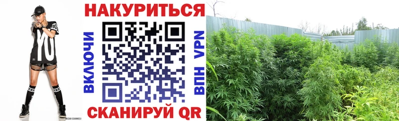Конопля THC 21%  Назарово 